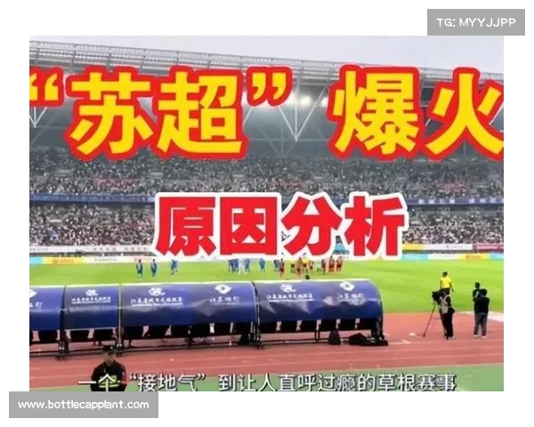 足球文化的传承与发展:从草根到职业的全球影响与本土特色探索 足球文化的传承与发展:从草根到职业的全球影响与本土特色探索