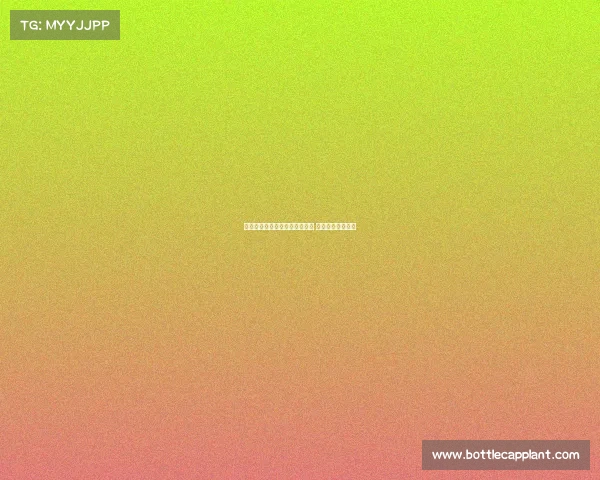 西汉姆联有意引进法比奥维埃拉 目前暂无正式报价 西汉姆联有意引进法比奥维埃拉 目前暂无正式报价