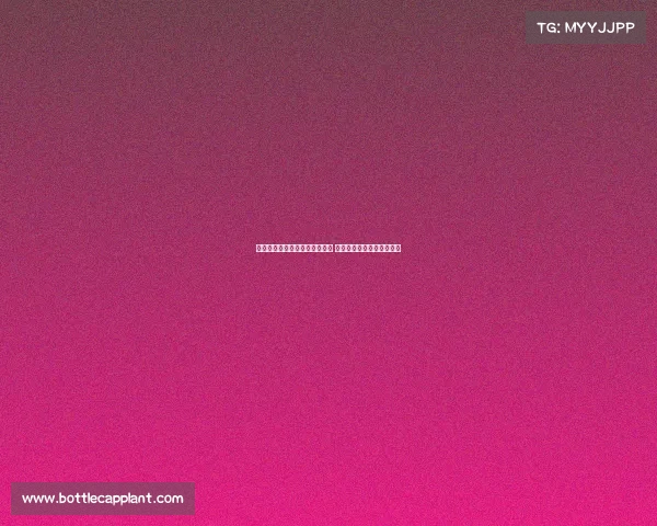 武切维奇助力公牛引援成绩显著 强调球队重建需耐心与远见