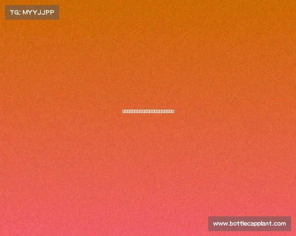 罗马引进韦斯利交易接近达成协议进入最后阶段