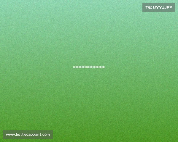 以利华古逊崛起之路 德甲劲旅的挑战与机遇分析