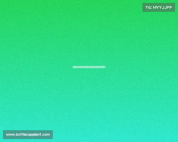 疯狂夏季转会窗口评选最佳和最差操作打分全解析 疯狂夏季转会窗口评选最佳和最差操作打分全解析