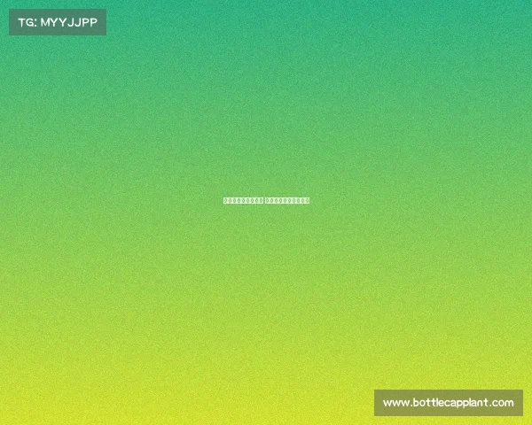 西甲升班马新军崛起 聚焦新赛季挑战与期待