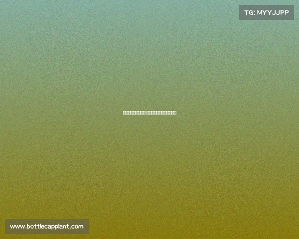 以利华古逊崛起之路 德甲劲旅的挑战与机遇分析