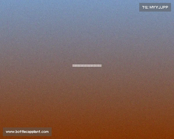 南北大战背后的政治博弈与历史影响深度解析