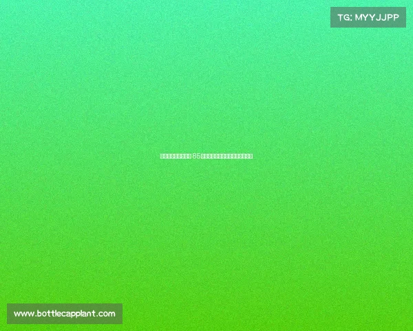 桑德兰推出暖心政策 85岁以上忠实球迷可获季票费用退还