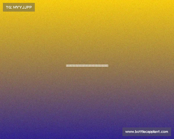 英超官方手册：全面解析英格兰足球顶级联赛的历史、规则与发展