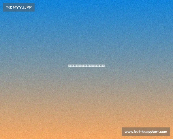 王曼昱携手搭档力克对手夺得全锦赛女双冠军展现强大实力