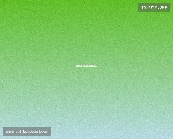 霍伊伦离队为球员世界杯机会而来